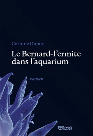 Le bernard-l'ermite dans l'aquarium - Corinne Dupuy