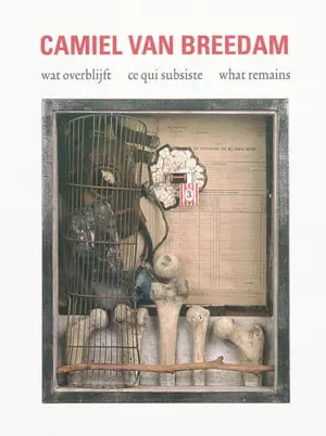 Camiel Van Breedam : ce qui subsiste : les oeuvres contre la guerre et la violence. Camiel Van Breedam : wat overblijft : de werken tegen oorlog en geweld. Camiel Van Breedam : what remains : the works against war and violence