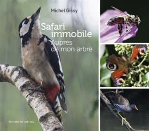 Safari immobile : auprès de mon arbre - Michel Gissy