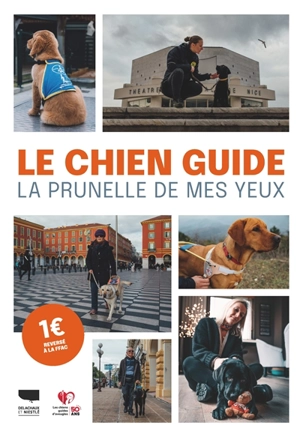 Le chien guide : la prunelle de mes yeux - Dominique Remark