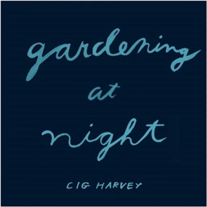 Cig Harvey Gardening at Night - Harvey, Cig