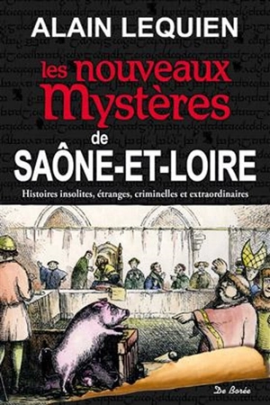Les nouveaux mystères de Saône-et-Loire : histoires insolites, étranges, criminelles et extraordinaires - Alain Lequien