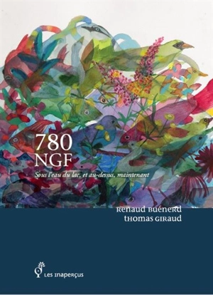 780 NGF : sous l'eau du lac, et au-dessus, maintenant - Thomas Giraud