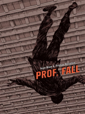 Prof. Fall - Tristan Perreton