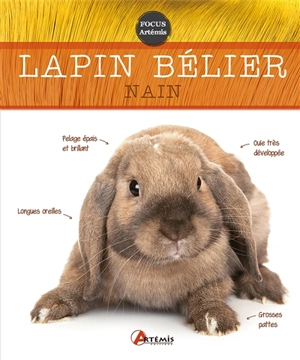 Le lapin bélier nain - Nathalie Semenuik