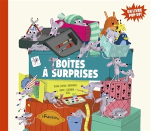 Boîtes à surprises - Anne-Sophie Baumann