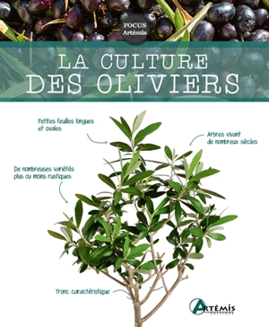 La culture des oliviers - Jean-Marie Polese