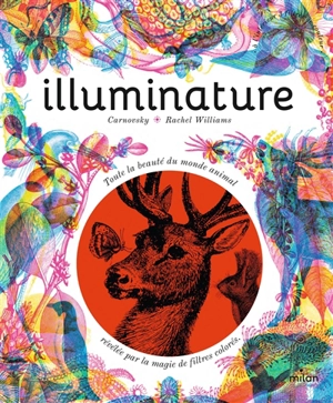 Illuminature : toute la beauté du monde animal révélée par la magie de filtres colorés - Rachel Williams