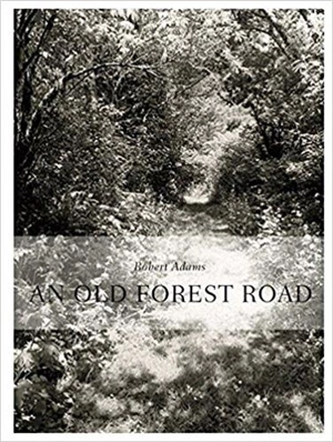 Robert Adams An Old Forest Road - Thomas Zander