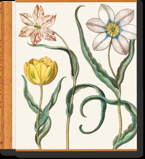 Hortus Eystettensis : ive diligens et accurata omnium plantarum, florum stirpium, ex variis orbis terrae partibus, singulari studio collectarum... - Basilius Besler