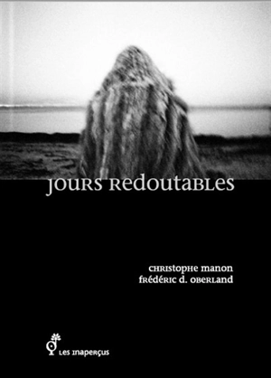 Jours redoutables - Christophe Manon