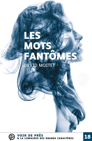 Les mots fantômes - David Moitet