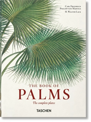 The book of palms : the complete plates. Das Buch der Palmen. Le livre des palmiers - Karl Friedrich Philipp von Martius