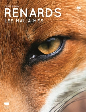 Renards : les mal-aimés - Pierre Rigaux