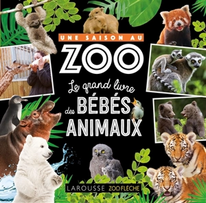 Une saison au zoo : le grand livre des bébés animaux - Aurore Meyer