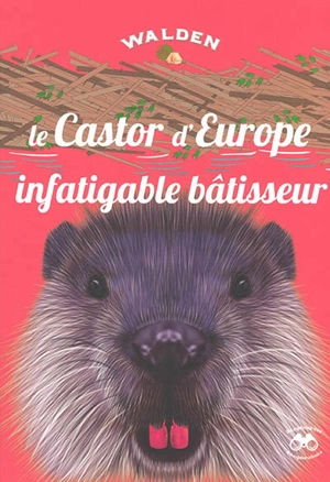 Le castor d'Europe : infatigable bâtisseur - Jean-Marc Dubray