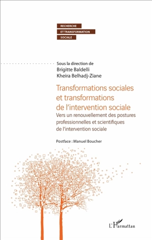 Transformations sociales et transformations de l'intervention sociale : vers un renouvellement des postures professionnelles et scientifiques de l'intervention sociale : actes du colloque de Perpignan, 1-2 juillet 2015