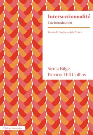 Intersectionnalité : une introduction - Sirma Bilge