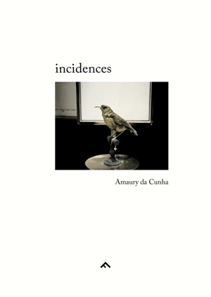 Incidences - Amaury Da Cunha