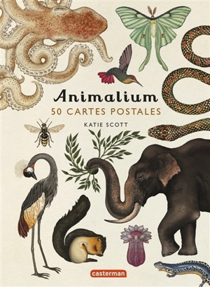 Animalium : 50 cartes postales - Jenny Broom