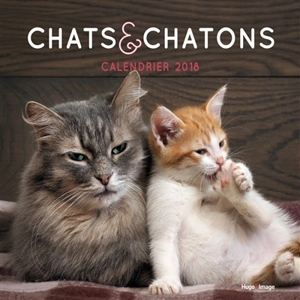 Chats et chatons : calendrier 2018