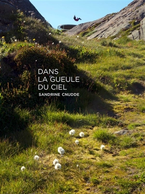 Dans la gueule du ciel - Sandrine Cnudde