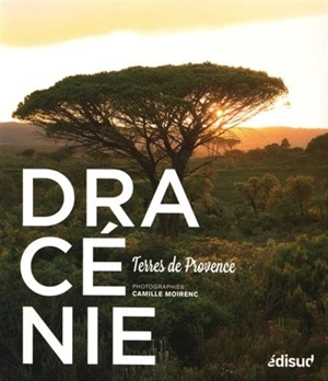 Dracénie : terres de Provence - Camille Moirenc