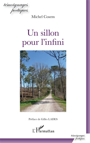 Un sillon pour l'infini - Michel Cosem