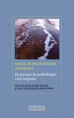 Manuel de psychothérapie intégrative : des principes des psychothérapies à leur intégration - Richard Meyer