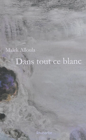 Dans tout ce blanc : écrits de Berlin - Malek Alloula