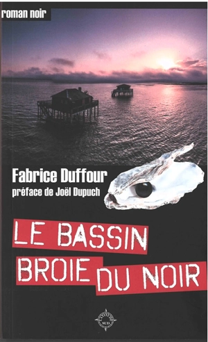 Le bassin broie du noir - Fabrice Duffour