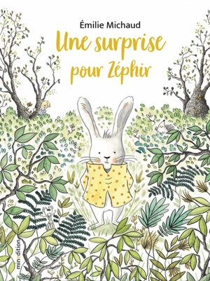 Une surprise pour Zéphir - Emilie Michaud