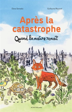 Après la catastrophe : quand la nature renaît - Diana Semaska