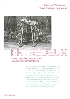 Entredeux : l'art et l'informe, explorations en Chine postcontemporaine - Florence Vuilleumier Laurens