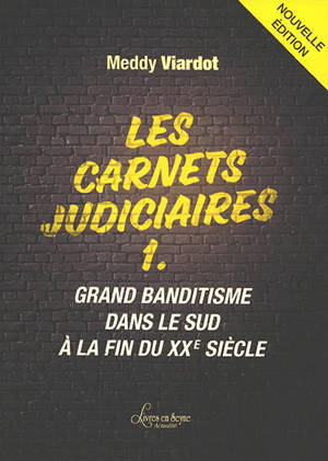 Les carnets judiciaires. Vol. 1. Grand banditisme dans le Sud à la fin du XXe siècle - Meddy Viardot