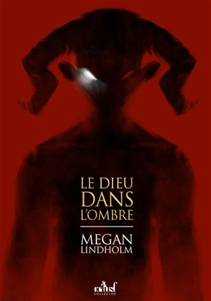 Le dieu dans l'ombre - Megan Lindholm