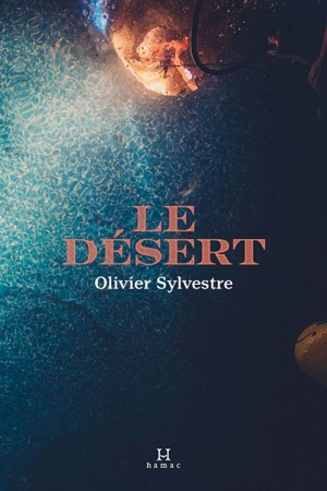 Le désert - Olivier Sylvestre