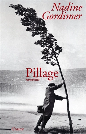 Pillage - Nadine Gordimer