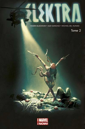 Elektra. Vol. 2. Mort à la guilde des assassins - W. Haden Blackman