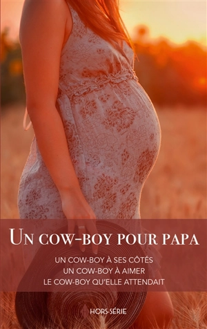 Un cow-boy pour papa - Meg Maxwell