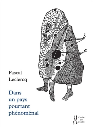 Dans un pays pourtant phénoménal - Pascal Leclercq