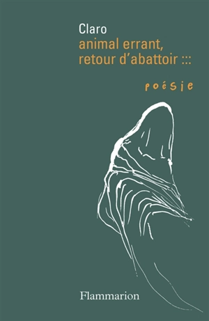 Animal errant, retour d'abattoir - Claro