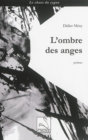 L'ombre des anges - Didier Mény