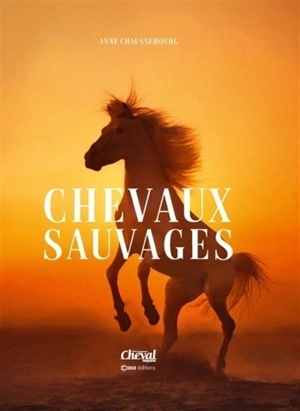 Chevaux sauvages - Anne Chaussebourg