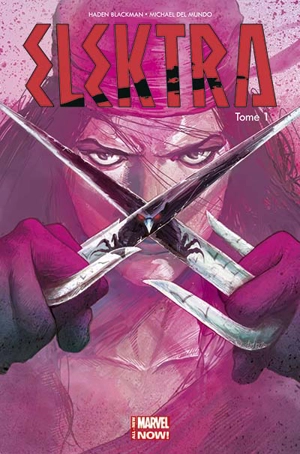 Elektra. Vol. 1. Le sang appelle le sang - W. Haden Blackman