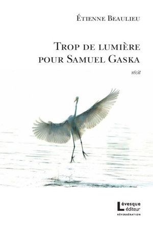 Trop de lumière pour Samuel Gaska - Etienne Beaulieu