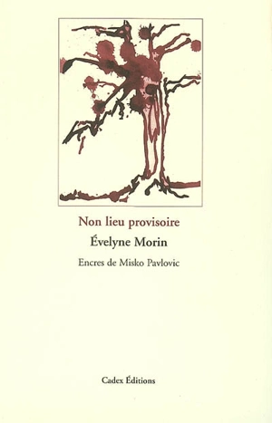 Non lieu provisoire - Evelyne Morin