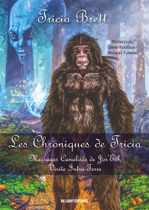 Les chroniques de Tricia. Vol. 1. Messages canalisés de Jor'Esh : visite en Intraterre - Tricia Brett