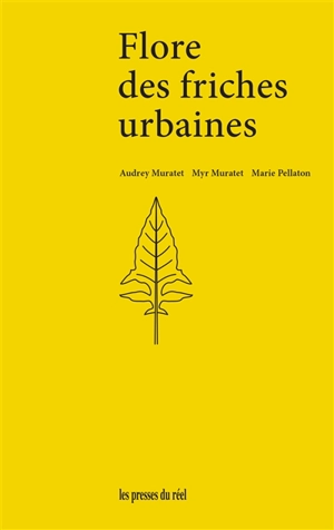 Flore des friches urbaines du nord de la France et des régions voisines - Audrey Muratet