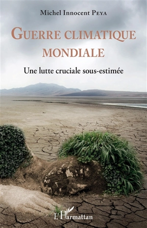 Guerre climatique mondiale : une lutte cruciale sous-estimée - Michel Innocent Peya